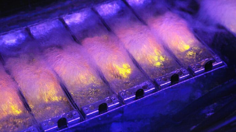 Motul, Hypertec et Midas s’associent sur le refroidissement par immersion