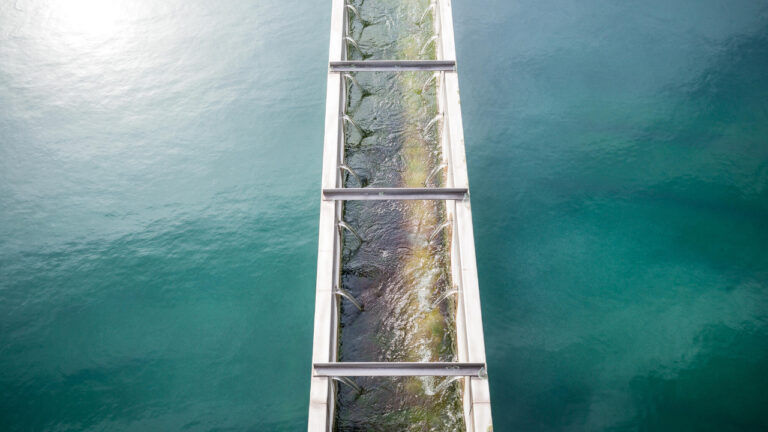 Veolia collabore avec Amazon pour transformer les eaux usées en ressources de refroidissement